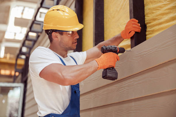 Best Stone Veneer Siding  in Lakeside, VA